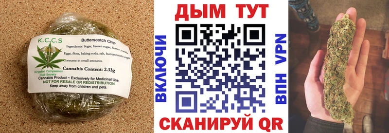 Canna-Cookies марихуана  Елизаветинская 