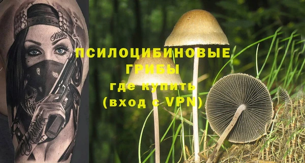 2c-b Ростов