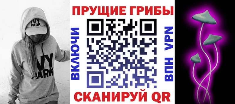 как найти наркотики  blacksprut вход  Галлюциногенные грибы Psilocybine cubensis  Елизаветинская 
